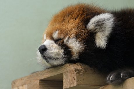 120913chiichii.jpg