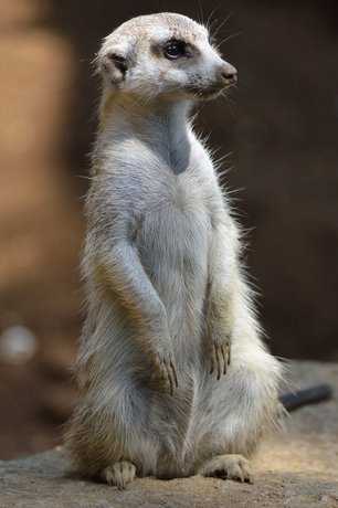 120913miakyatto.jpg