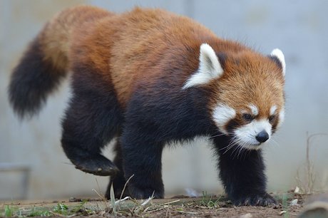 130228eita1.jpg